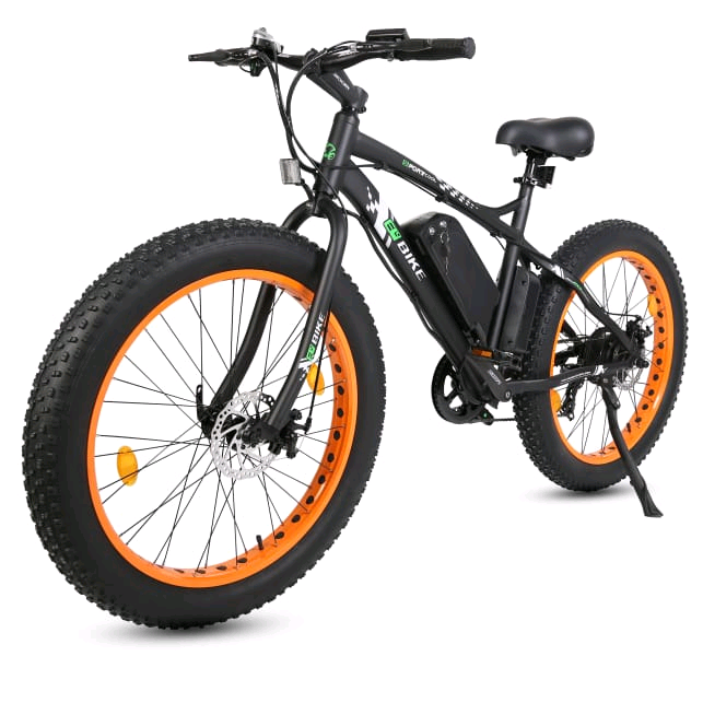 fat bike gumtree